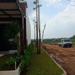 Tukang Taman Tangerang